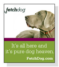 FetchDog.com