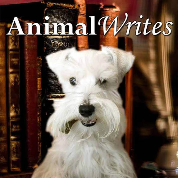 Animal Writes pet podcast on Pet Life Radio