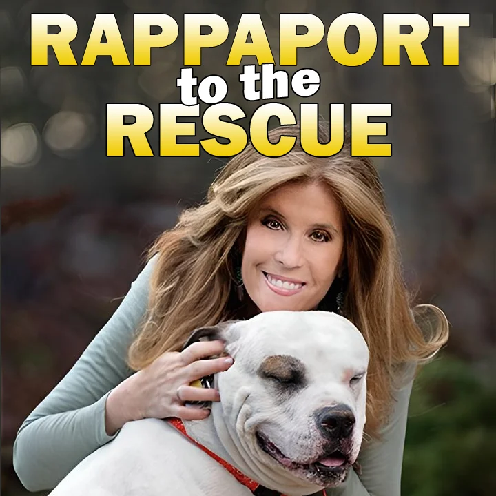 Want to know about Taylor Swift's Cats?  How about celebrity pets?  Find out on Rappaport to the Rescue pet podcast on Pet Life Radio