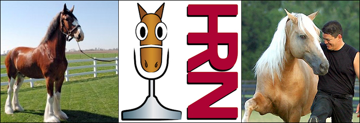 Horse Radio Network on Pet Life Radio