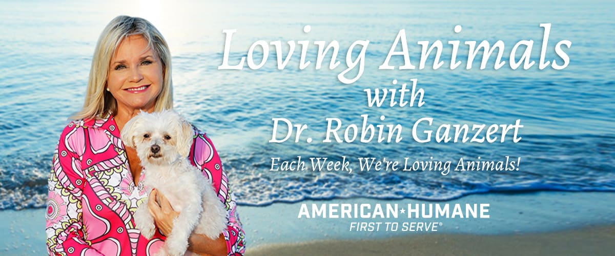  - Loving Animals, a podcast from the American Humane on  Pet Life Radio