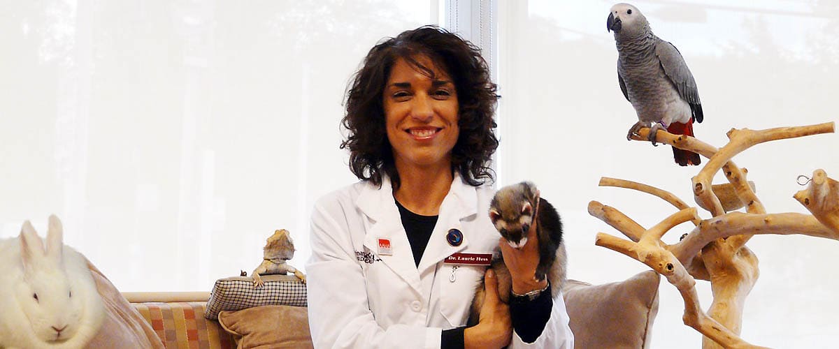 exotic pet doctor near me