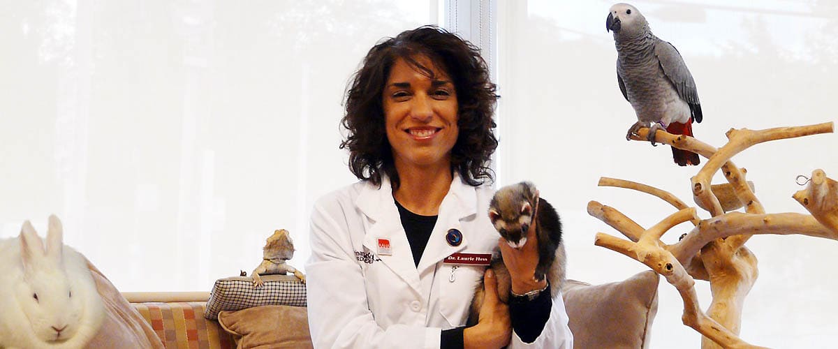 The Exotic Pet Vet on Pet Life Radio