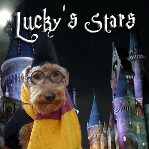 Lucky's Stars on Pet Life Radio