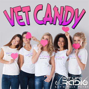 Vet Candy on Pet Life Radio