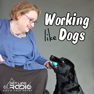 Working Like Dogs with Marcie Davis