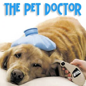 The Pet Doctor  on Pet Life Radio