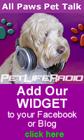 Get our widget here!