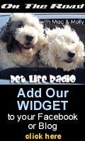 Get our widget here!