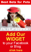 Get our widget here!