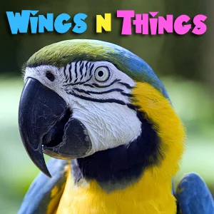Wings 'n Things on Pet Life Radio